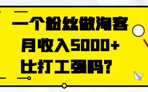 一个粉丝做淘客月收入5000+，比打工强吗？￼