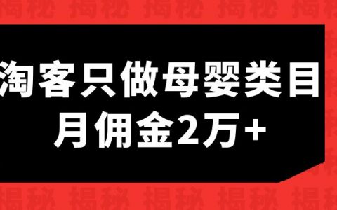 专注做母婴类目的个人淘客，月佣金2万3￼