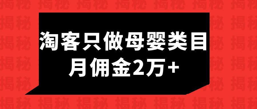 专注做母婴类目的个人淘客，月佣金2万3￼